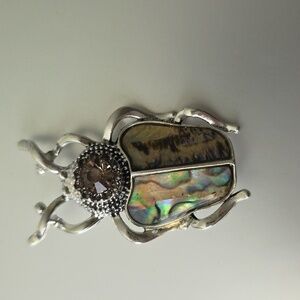 Beetle Bug Brooch ABOLONE SHELL Just Amazing Must have not for the Girly Girl